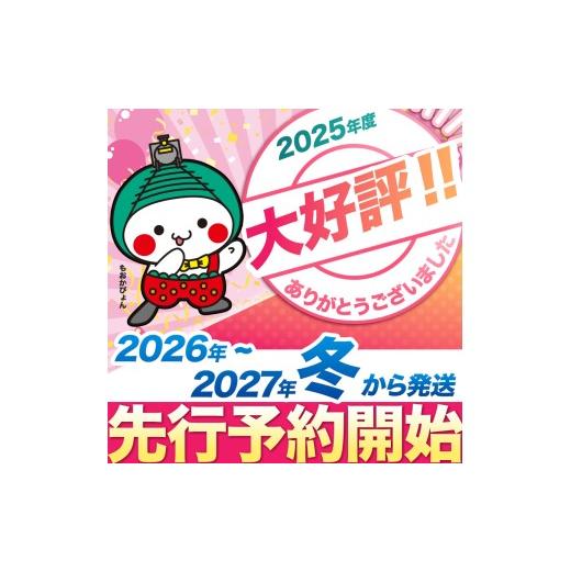 ふるさと納税 いちご 栃木県 真岡市  先行予約 定期便2回 とちあいか贈答用 黒箱450g ｜果物 苺 イチゴ 人気 ギフトBOX 栃木県 真岡市 定期便2回 | 28,000円_8