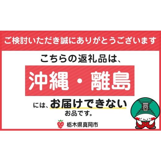 ふるさと納税 いちご 栃木県 真岡市  先行予約 定期便2回 とちあいか贈答用 黒箱450g ｜果物 苺 イチゴ 人気 ギフトBOX 栃木県 真岡市 定期便2回 | 28,000円_9