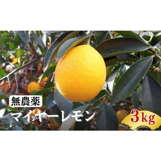 ふるさと納税 みかん・柑橘類 レモン 三重県 松阪市 松阪棚田マイヤーレモン(3kg)(れもん レモン 檸檬) 002190