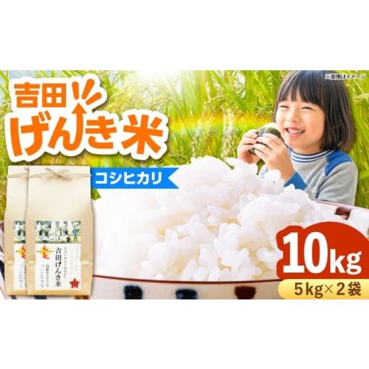 ふるさと納税 米 コシヒカリ 島根県 雲南市 新米 吉田げんき米コシヒカリ 10kg(5kg×2袋) 島根県雲南市/有限会社藤本米穀店 |こしひかり 白米 精米 コメ …
