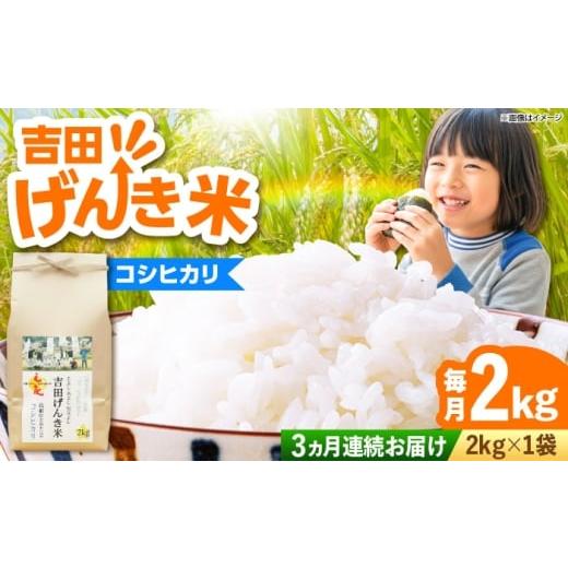 ふるさと納税 米 コシヒカリ 島根県 雲南市 全3回定期便 新米 吉田げんき米コシヒカリ 2kg 島根県雲南市/有限会社藤本米穀店 |こしひかり 白米 精米 コメ 2…