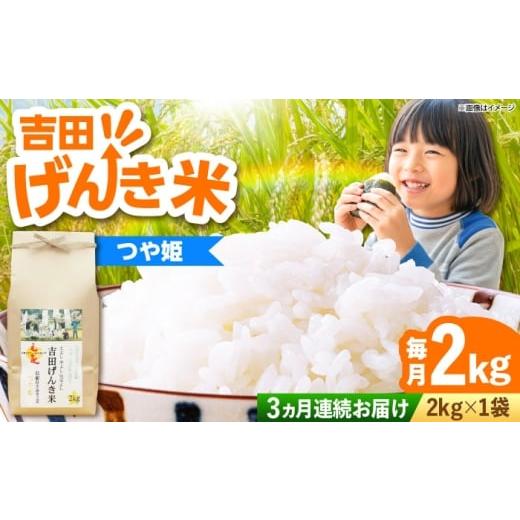 ふるさと納税 米 つや姫 島根県 雲南市 全3回定期便 新米 吉田げんき米つや姫 2kg 島根県雲南市/有限会社藤本米穀店 |つやひめ 白米 精米 コメ 2キロ AIDB1…