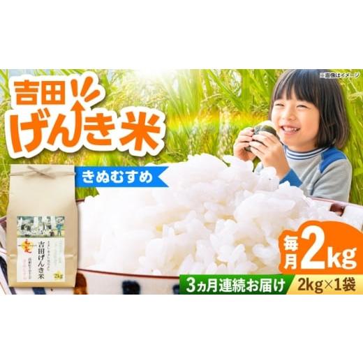 ふるさと納税 米 きぬむすめ 島根県 雲南市 全3回定期便 新米 吉田げんき米きぬむすめ 2kg 島根県雲南市/有限会社藤本米穀店 |ブランド米 きぬ娘 白米 精米…