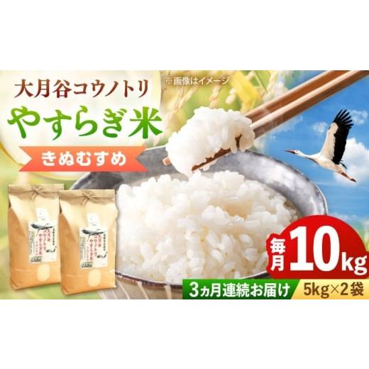 ふるさと納税 米 きぬむすめ 島根県 雲南市 全3回定期便 新米 大月谷コウノトリやすらぎ米 10kg(5kg×2袋) 島根県雲南市/有限会社藤本米穀店 |ブランド米…