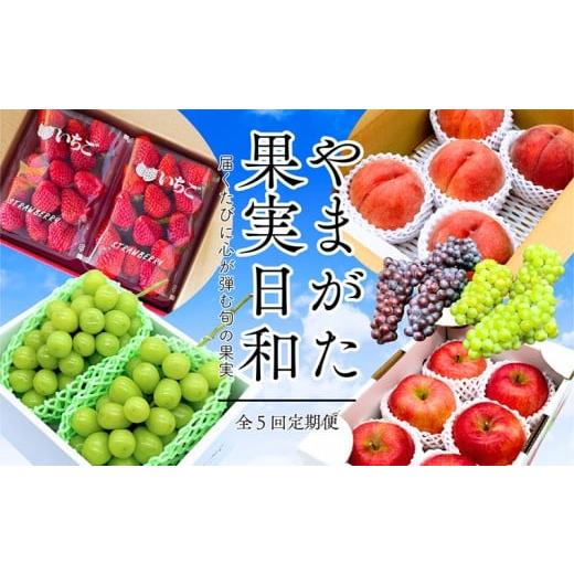 ふるさと納税 いちご 山形県 山形市 定期便5回 やまがた果実日和定期便 今日も"おいしい日"。届くたびに心が弾む旬の果実 令和8年産先行予約 FS25-…