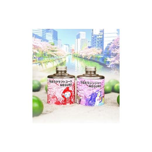 ふるさと納税 炭酸飲料 東京都 目黒区 薬膳工房あすごはん うるおうクラフトコーラMEGURO &amp;うるおうジンジャーMEGURO セット(希釈シロップ)