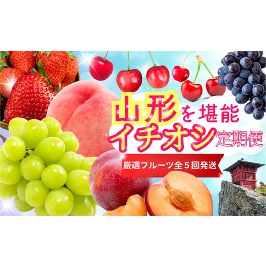 ふるさと納税 いちご 山形県 山形市 定期便5回 やまがたを堪能 イチオシ定期便 令和8年産先行予約 FS25-086