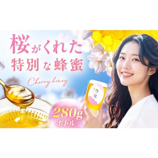 ふるさと納税 加工品等 はちみつ 福岡県 広川町 早春みつ 1本(280g) 広川町 / 株式会社九州蜂の子本舗