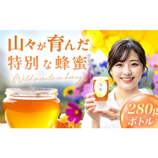 ふるさと納税 加工品等 はちみつ 福岡県 広川町 野山みつ 1本(280g) 広川町 / 株式会社九州蜂の子本舗