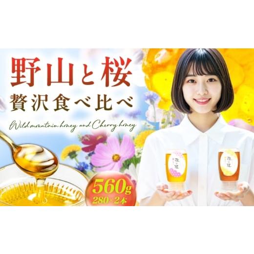 ふるさと納税 加工品等 はちみつ 福岡県 広川町 はちみつお試しセット 早春みつ・野山みつ 各1本(280g×2) 広川町 / 株式会社九州蜂の子本舗