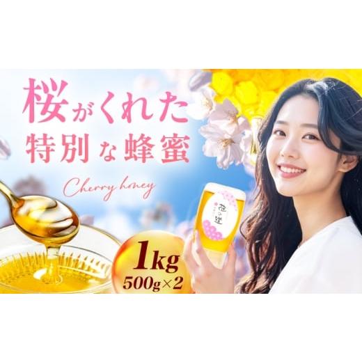 ふるさと納税 加工品等 はちみつ 福岡県 広川町 早春みつ 2本(500g×2) 広川町 / 株式会社九州蜂の子本舗