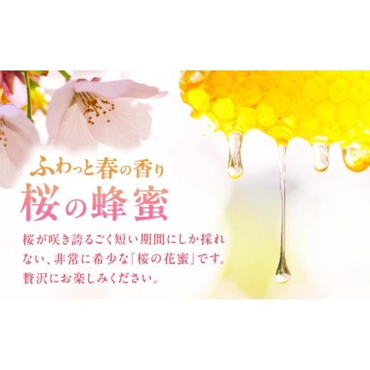 ふるさと納税 加工品等 はちみつ 福岡県 広川町 早春みつ 2本（500g×2） 広川町 ／ 株式会社九州蜂の子本舗 AFAI046 2本（500g×2）の画像
