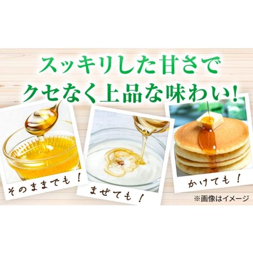 ふるさと納税 加工品等 はちみつ 福岡県 広川町 早春みつ 2本（500g×2） 広川町 ／ 株式会社九州蜂の子本舗 AFAI046 2本（500g×2）の画像