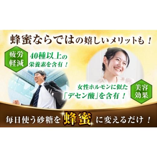 ふるさと納税 加工品等 はちみつ 福岡県 広川町 早春みつ 2本（500g×2） 広川町 ／ 株式会社九州蜂の子本舗 AFAI046 2本（500g×2）の画像