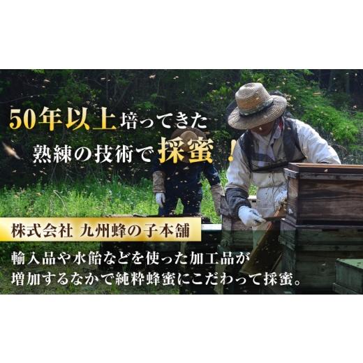 ふるさと納税 加工品等 はちみつ 福岡県 広川町 早春みつ 2本（500g×2） 広川町 ／ 株式会社九州蜂の子本舗 AFAI046 2本（500g×2）の画像