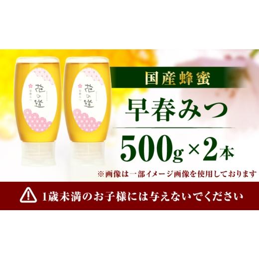 ふるさと納税 加工品等 はちみつ 福岡県 広川町 早春みつ 2本（500g×2） 広川町 ／ 株式会社九州蜂の子本舗 AFAI046 2本（500g×2）の画像