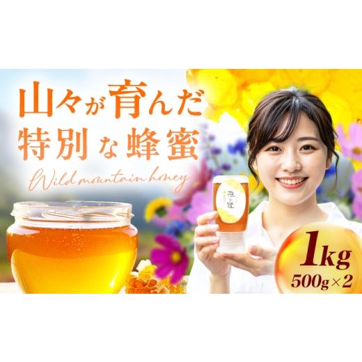 ふるさと納税 加工品等 はちみつ 福岡県 広川町 野山みつ 2本（500g×2） 広川町 ／ 株式会社九州蜂の子本舗 AFAI047 2本（500g×2）の画像