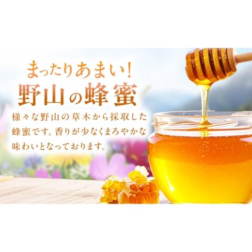 ふるさと納税 加工品等 はちみつ 福岡県 広川町 野山みつ 2本（500g×2） 広川町 ／ 株式会社九州蜂の子本舗 AFAI047 2本（500g×2）の画像