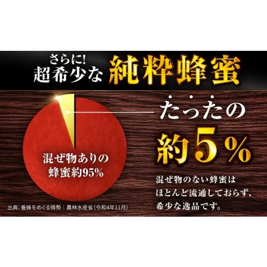 ふるさと納税 加工品等 はちみつ 福岡県 広川町 野山みつ 2本（500g×2） 広川町 ／ 株式会社九州蜂の子本舗 AFAI047 2本（500g×2）の画像