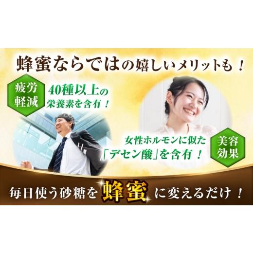 ふるさと納税 加工品等 はちみつ 福岡県 広川町 野山みつ 2本（500g×2） 広川町 ／ 株式会社九州蜂の子本舗 AFAI047 2本（500g×2）の画像