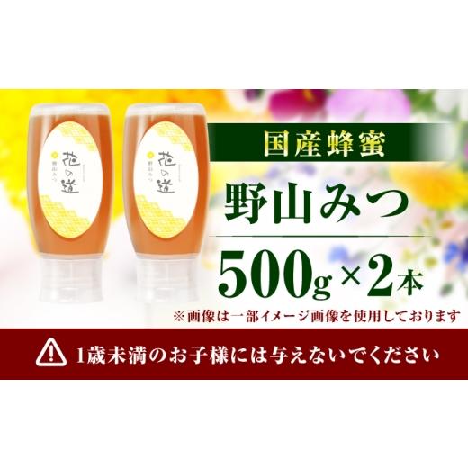 ふるさと納税 加工品等 はちみつ 福岡県 広川町 野山みつ 2本（500g×2） 広川町 ／ 株式会社九州蜂の子本舗 AFAI047 2本（500g×2）の画像
