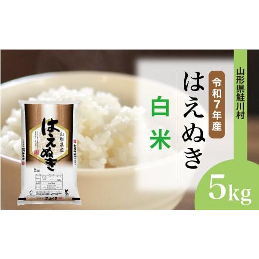 ふるさと納税 米 はえぬき 山形県 鮭川村 令和7年産米 はえぬき 白米 5kg (5kg×1袋) 配送時期選べます 山形県鮭川村