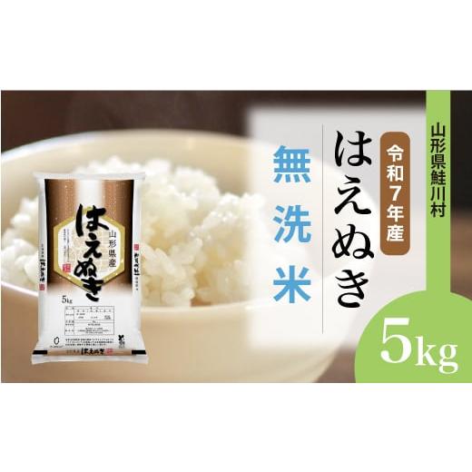 ふるさと納税 無洗米 山形県 鮭川村 令和7年産米 はえぬき 無洗米 5kg (5kg×1袋) 配送時期選べます 山形県鮭川村