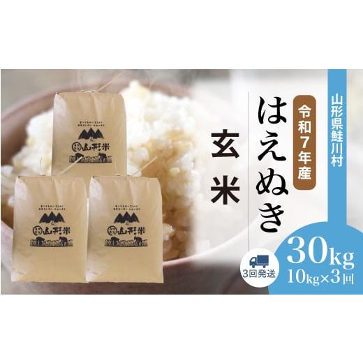 ふるさと納税 玄米 山形県 鮭川村 令和7年産米 はえぬき 玄米 30kg定期便 (10kg×3回発送) 配送時期選べます 山形県鮭川村