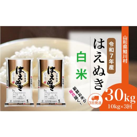 ふるさと納税 米 はえぬき 山形県 鮭川村 令和7年産米 はえぬき 白米 定期便 30kg (10kg×1ヶ月間隔で3回お届け) 配送時期選べます 山形県鮭川村