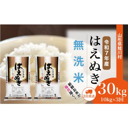 ふるさと納税 無洗米 山形県 鮭川村 令和7年産米 はえぬき 無洗米 定期便 30kg (10kg×1ヶ月間隔で3回お届け) 配送時期選べます 山形県鮭川村
