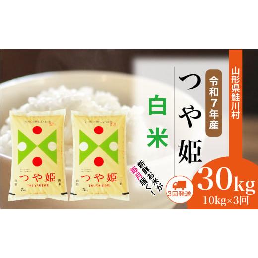 ふるさと納税 米 つや姫 山形県 鮭川村 令和7年産米 特別栽培米 つや姫 白米 定期便 30kg (10kg×1ヶ月間隔で3回お届け) 配送時期選べます 山形県鮭川村