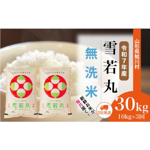 ふるさと納税 無洗米 山形県 鮭川村 令和7年産米 雪若丸 無洗米 定期便 30kg (10kg×1ヶ月間隔で3回お届け) 配送時期選べます 山形県鮭川村