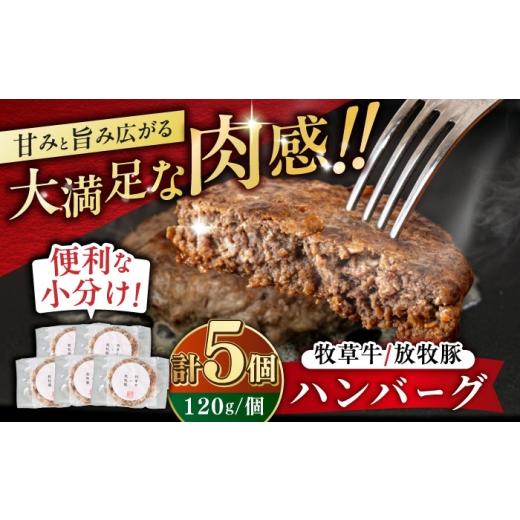 ふるさと納税 肉 ハンバーグ 北海道 厚真町 お歳暮対象 牧草牛×放牧豚 ハンバーグ 5個 [厚真町] GOODGOOD株式会社 ハンバーグ 牛肉 豚肉 ジビエ 小分け 冷…