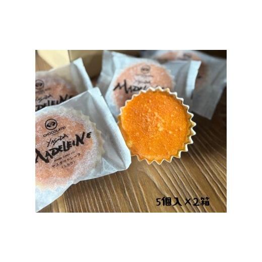 ふるさと納税 焼菓子・チョコレート マドレーヌ 新潟県 阿賀野市 しょこら亭 ヤスダマドレーヌ(ミルク)5個入×2セット お菓子 菓子 スイーツ 贈答 1Z29012