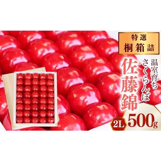 ふるさと納税 果物類 さくらんぼ 山形県 寒河江市 [先行予約]令和8年産 特選 温室育ち さくらんぼ 佐藤錦 2L 特秀品 500g 桐箱詰(発泡スチロール梱包)2026…