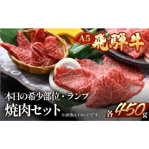 ふるさと納税 牛肉 焼肉・バーベキュー 岐阜県 下呂市 飛騨牛 本日の希少部位・ランプ焼肉セット 各450g 冷凍 ブランド牛 牛肉 国産 下呂温泉 牛 食べ比べ 焼…