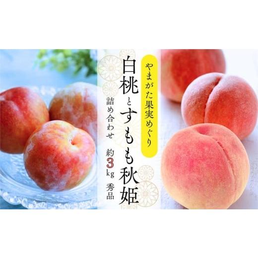 ふるさと納税 もも 山形県 山形市 やまがた果実めぐり —白桃と秋姫— 約3kg 秀品 令和8年産先行予約 FS25-090