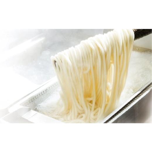 ふるさと納税 うどん 生・半生めん 岡山県 倉敷市  3ヶ月定期便 かけうどん だし凍らし麺 8人前×3回 うどん 麺類 麺 冷凍 ぶっかけうどん タレ つゆ 岡山県 …_6