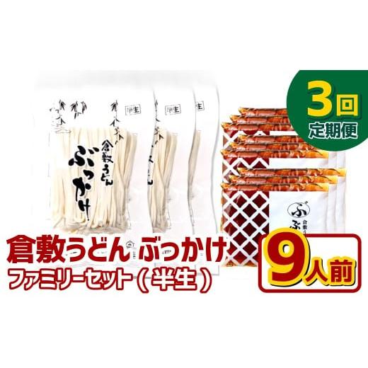 ふるさと納税 うどん 生・半生めん 岡山県 倉敷市 3ヶ月定期便 『倉敷うどん ぶっかけ』ファミリーセット(半生) 9人前×3回 うどん 麺類 麺 半生 半生麺 ぶっ…