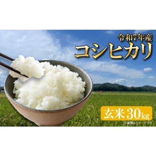 ふるさと納税 米 コシヒカリ 滋賀県 竜王町 新米 コシヒカリ 令和7年産 30kg 1袋 玄米 米 こしひかり R7 お米 ご飯 ごはん ふるさと納税 滋賀県 竜王町 ひさだ…