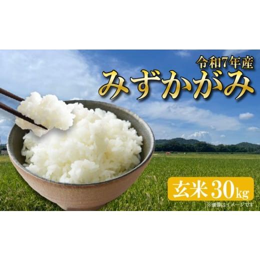 ふるさと納税 米 滋賀県 竜王町 新米 みずかがみ 令和7年産 30kg 1袋 玄米 米 ミズカガミ R7 お米 ご飯 ごはん ふるさと納税 滋賀県 竜王町 ひさだ農園