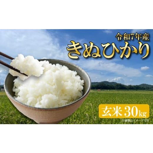 ふるさと納税 米 滋賀県 竜王町 新米 きぬひかり 令和7年産 30kg 1袋 玄米 米 キヌヒカリ R7 お米 ご飯 ごはん ふるさと納税 滋賀県 竜王町 ひさだ農園