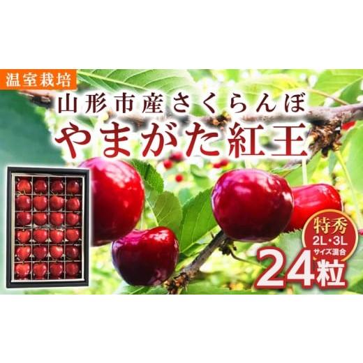 ふるさと納税 果物類 さくらんぼ 山形県 山形市 山形市産 さくらんぼ 温室栽培 やまがた紅王 特秀品 2L・3L混合 24粒 令和8年産先行予約 FS25-094