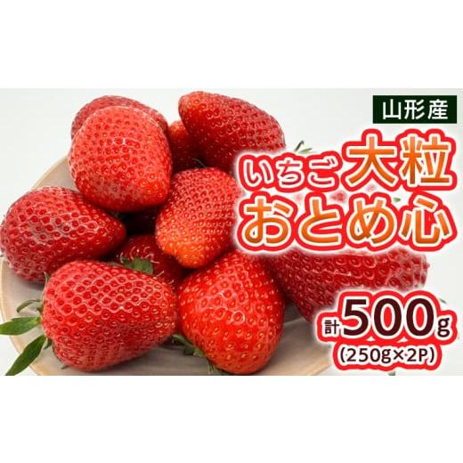 ふるさと納税 いちご 山形県 山形市 いちご 大粒おとめ心 500g(250g×2パック) 令和8年産先行予約 FS25-095