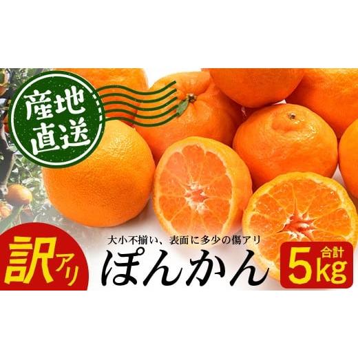 ふるさと納税 みかん・柑橘類 鹿児島県 南大隅町 訳あり [先行予約]南大隅の太陽浴びた甘くて・おいしい ぽんかん 約5kg 数量限定 2026年1月中旬以降順次発…