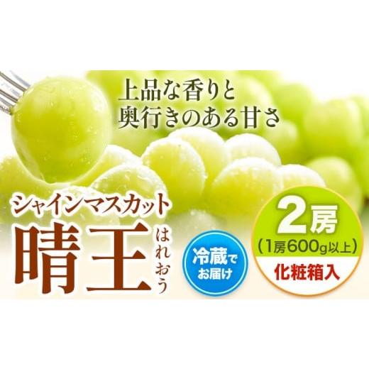 ふるさと納税 果物類 ぶどう 岡山県 笠岡市 2026年先行予約 シャインマスカット 晴王 はれおう 2房(1房600g以上) 約1kg 化粧箱入 株式会社山博[2026年8月下…