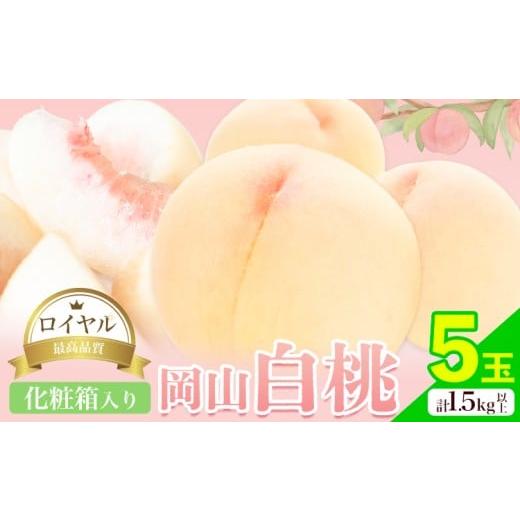 ふるさと納税 もも 岡山県 笠岡市 岡山白桃 5玉 (1.5kg以上) 等級ロイヤル 化粧箱入り 株式会社山博 (中本青果)[2026年7月上旬‐8月中旬頃出荷]岡山県 笠岡…