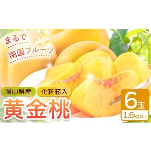 ふるさと納税 もも 岡山県 笠岡市 桃 岡山県産 黄金桃 6玉 1.6kg以上 株式会社山博[2026年8月下旬-9月中旬頃出荷]もも フルーツ 化粧箱入り 岡山県 笠岡市 …