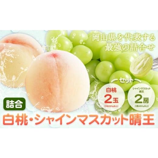 ふるさと納税 果物の詰合せ 岡山県 笠岡市 桃 ぶどう 詰合 岡山白桃 2玉(1玉220g以上) シャインマスカット 晴王 2房(1房480g以上) 化粧箱入り 株式会社山博[2…
