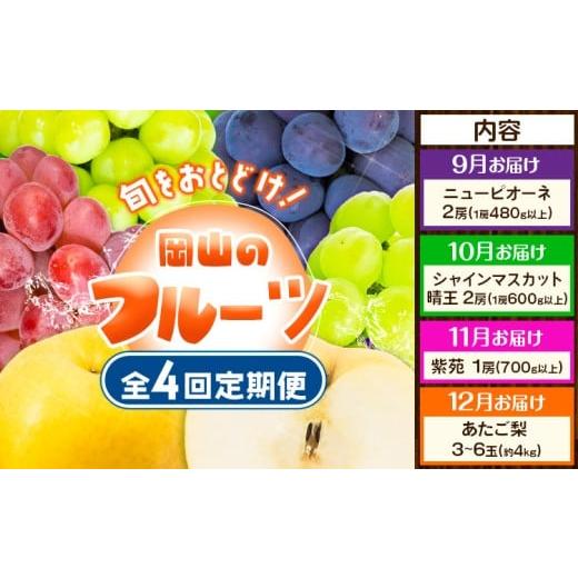 ふるさと納税 果物類 岡山県 笠岡市 4回定期便 ぶどう 梨 岡山のフルーツ定期便 4回コース 岡山県産 シャインマスカット 晴王 ニューピオーネ 紫苑 あたご 株…